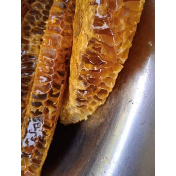 Mật ong Nguyên chất, mật ong khai thác núi rừng