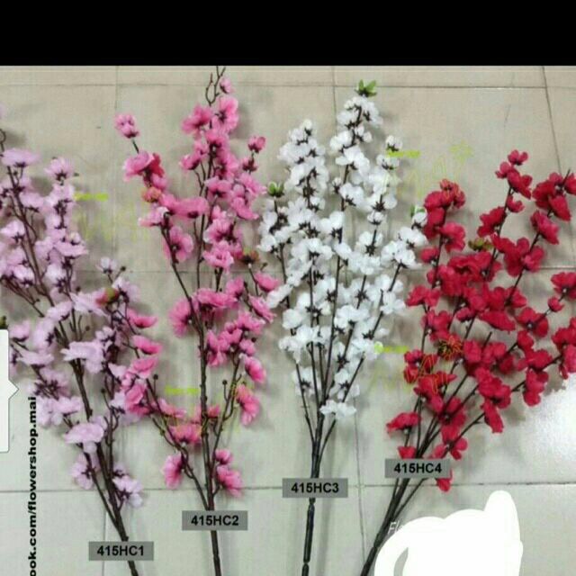 50 cành anh đào