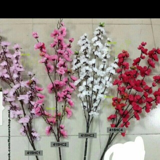 50 cành anh đào