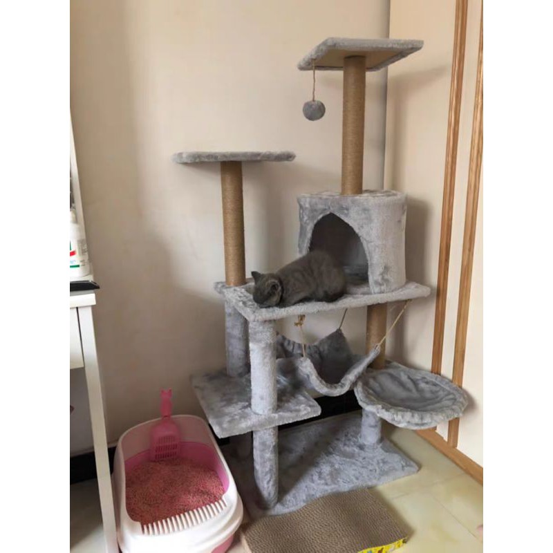 [SALE][RẺ VÔ ĐỊCH]Cattree cây leo cho mèo hàng có sẵn