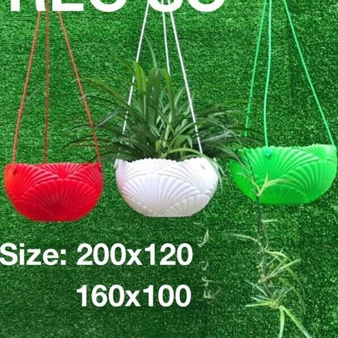 (2 size) Chậu nhựa treo Sò hàng loại 1 dày, cứng cáp, không phai màu, trồng hoa, cây cảnh siêu bền đẹp