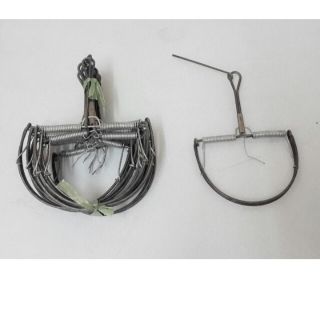 Bẫy chuột bán nguyệt