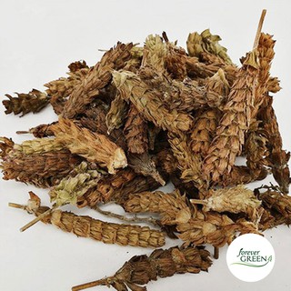 [1KG] Hạ khô thảo loại một đẹp nhất - FG107