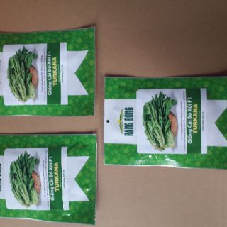 Combo 3 gói hạt giống cải bó xôi