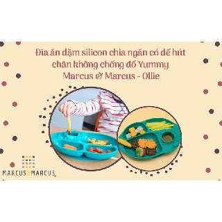 Đĩa ăn dặm Marcus & Marcus chia ngăn Ollie