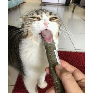 Tuýp cỏ mèo Catnip 45ml