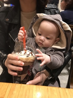 Body thỏ xám