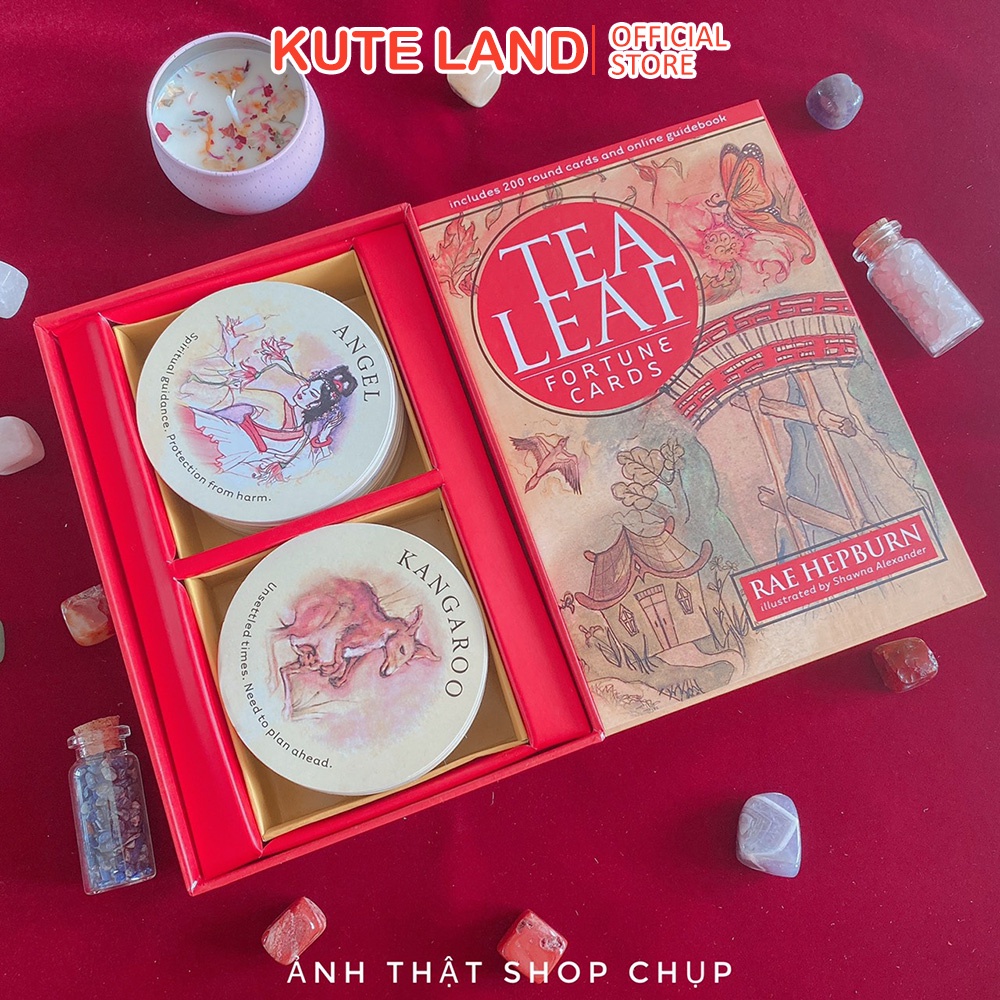 [Size Gốc] Bài Tea Leaf Fortune 200 Lá Bài Trà Tea Leaf Hộp Cứng Cao Cấp Giấy Dày Cán Bóng + Link Hướng Dẫn Tiếng Việt