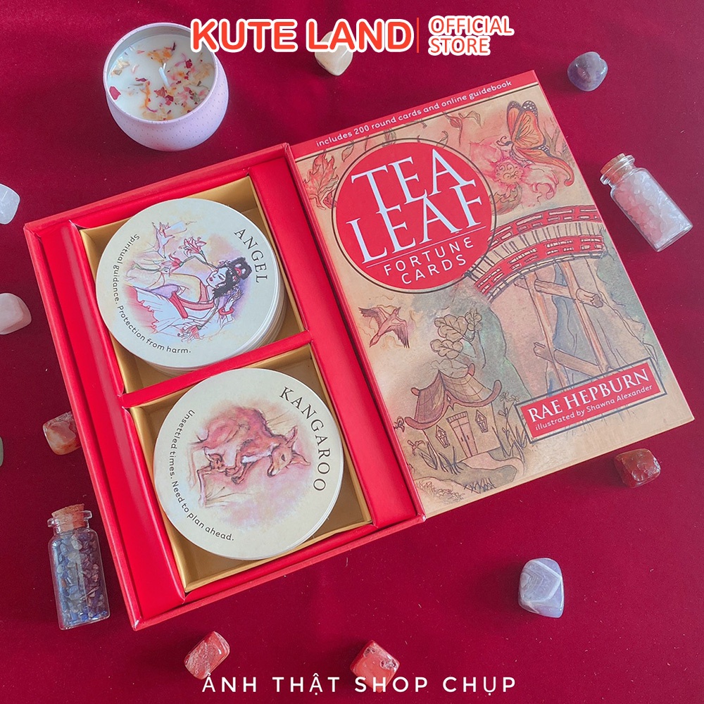 [Size Gốc] Bài Trà Tea Leaf Fortune 200 Lá Hộp Cứng Cao Cấp Giấy Dày Cán Màng Tặng Link Hướng Dẫn Tiếng Việt S1