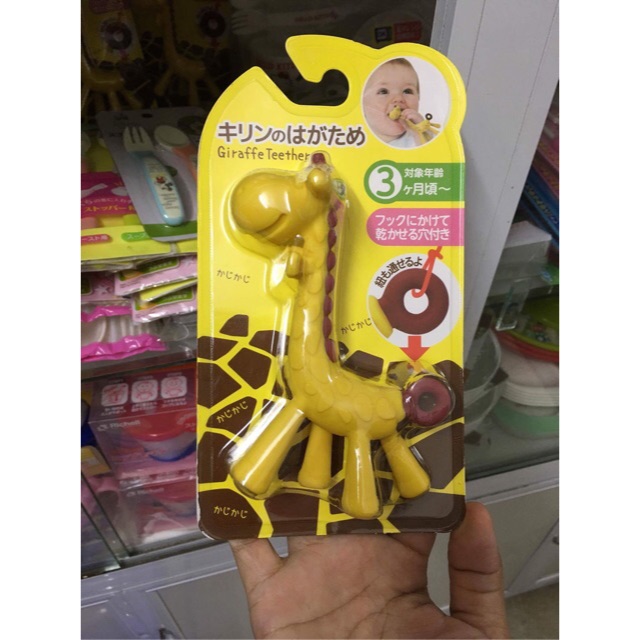 Gặm hươu cao cổ Nhật