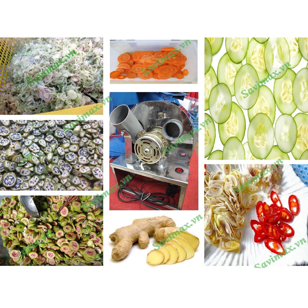 Máy thái sung, Thái hành tỏi, thái ớt xả đa năng quay tay