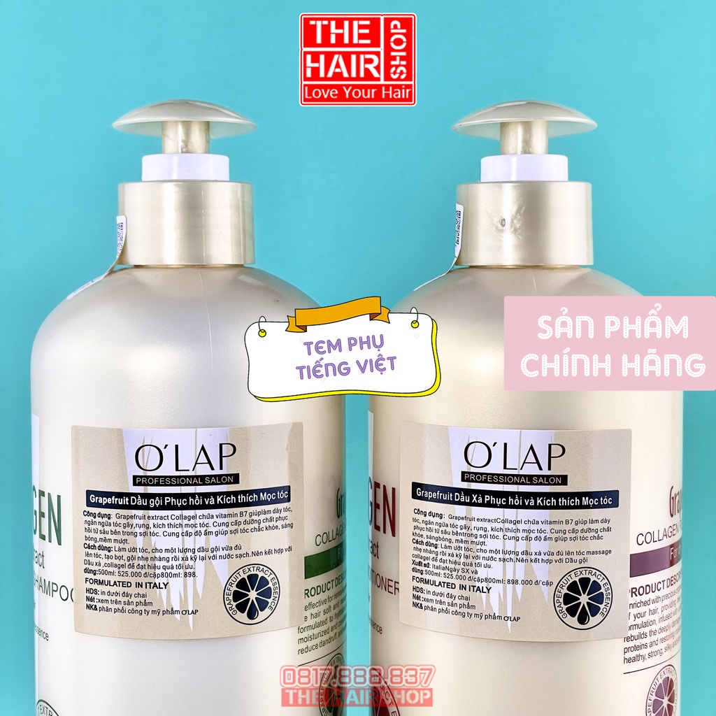 Combo dầu gội xả Olap bưởi 80ml, dầu gội xả tinh chất bưởi giúp tóc chắc khỏe tự nhiên hương bưởi thơm lâu bền lâu 72H