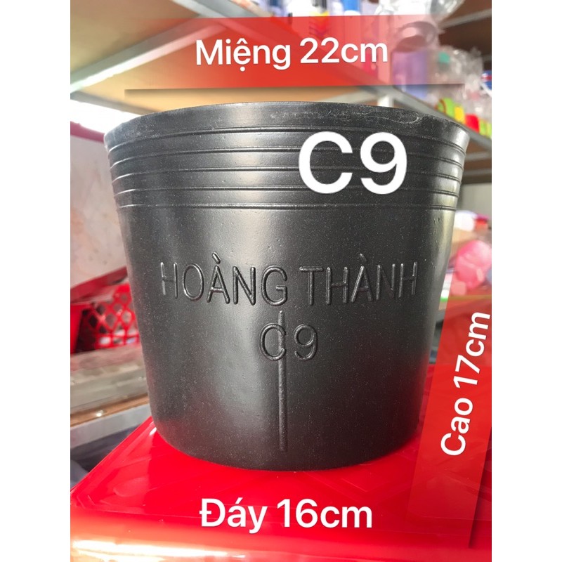 10 Chậu nhựa đen dày c9,c8,c7,c6 Ươm cây