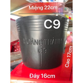 10 Chậu nhựa, chậu trồng cây, chậu ươm cây, chậu nhựa đen dày c9,c8,c7,c6 Ươm cây