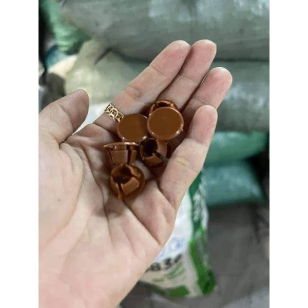 Nắp chụp đầu vít 10-lỗ kho.a.n10-12