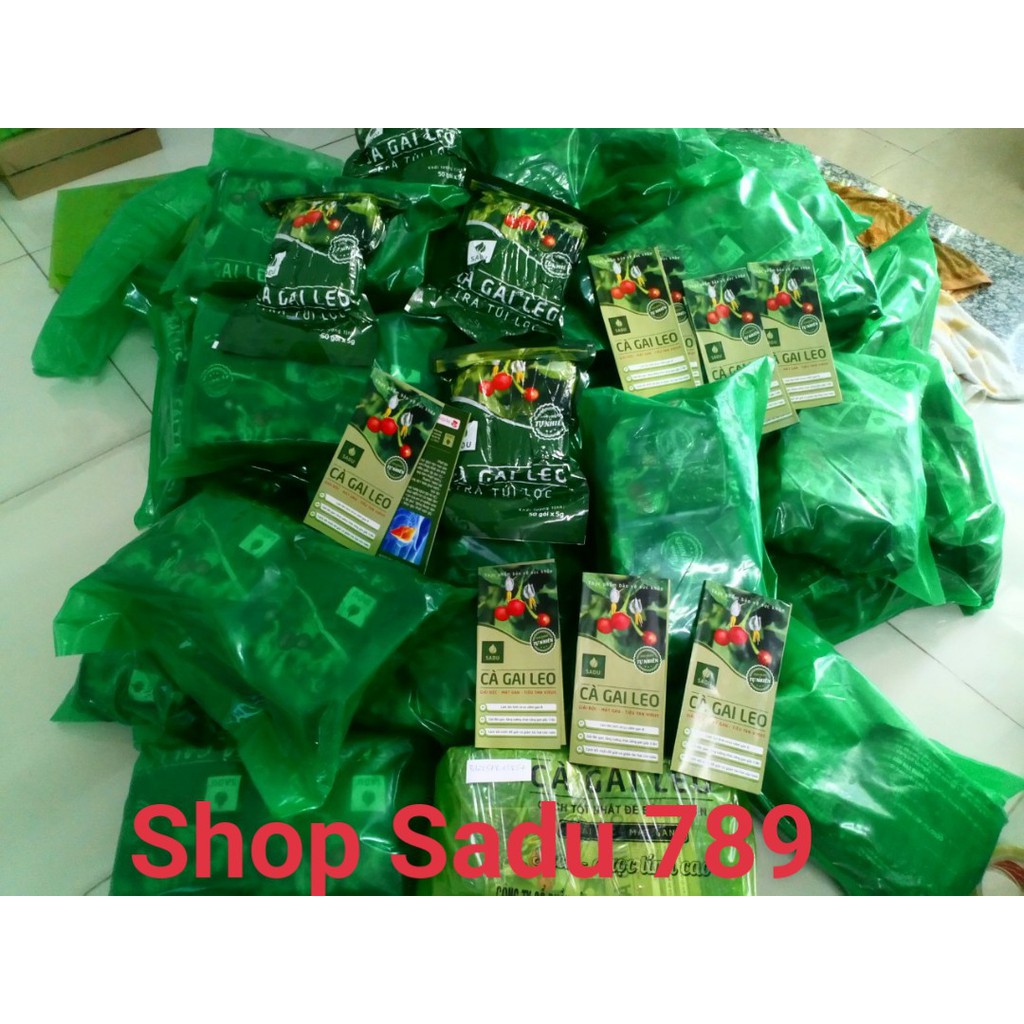 1kg trà cà gai leo túi lọc Sadu