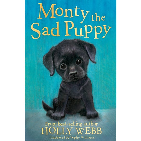 Truyện đọc tiếng Anh thiêu nhi 6-8 tuổi: Monty the Sad Puppy