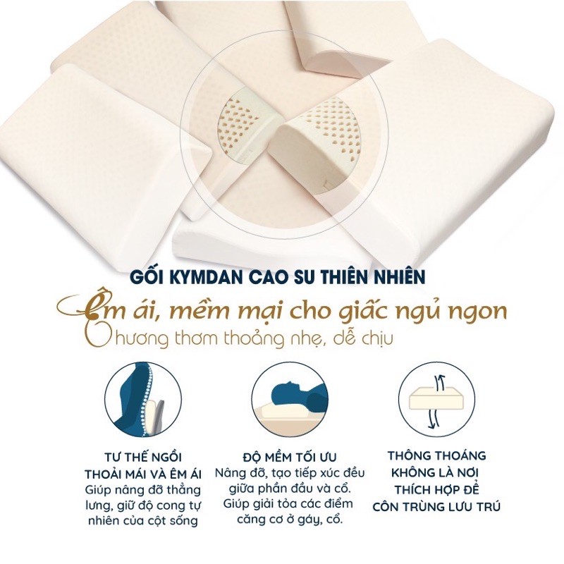 Gối cao su thiên nhiên KYMDAN Pillow Pressure Free Plus - Tặng 1 áo gối