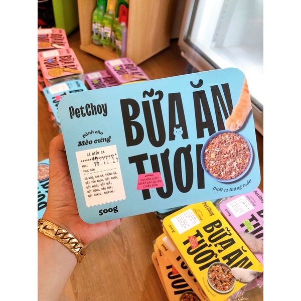 PetChoy Pate Tươi Cho Mèo Con