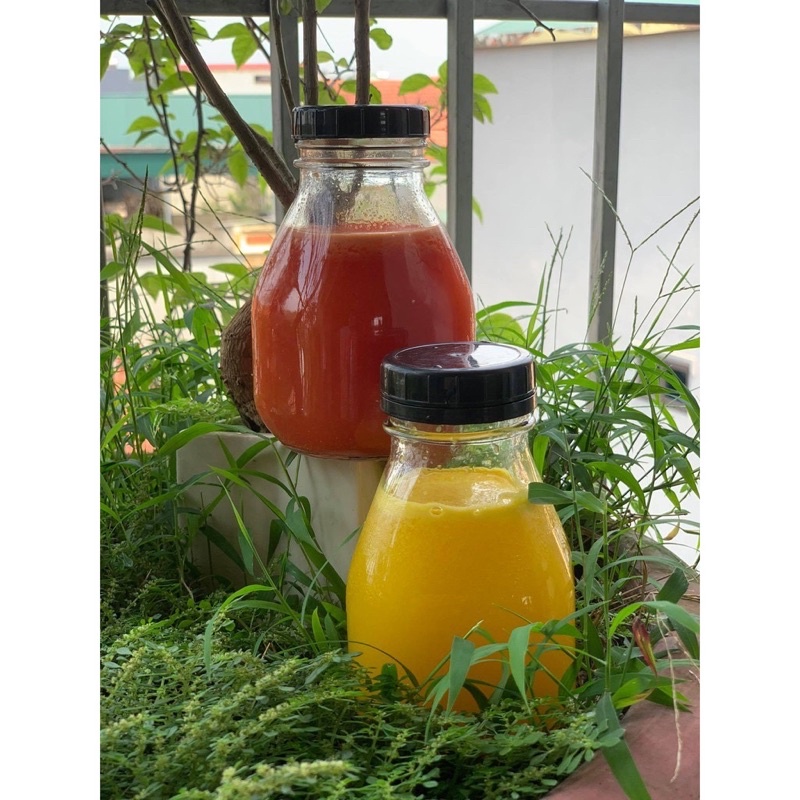 Chai thủy tinh 500ML dáng lùn - vuông (NẮP NHỰA - CHAI TRƠN) | BigBuy360 - bigbuy360.vn