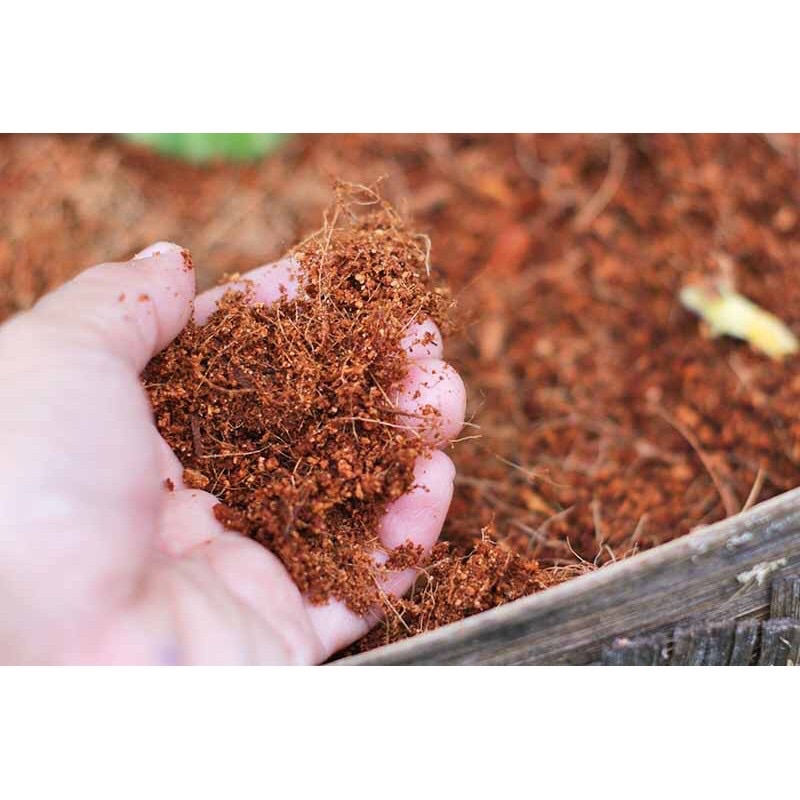 Mụn dừa đã qua xử lý, đóng gói 5dm3, chuyên trồng rau, hoa màu, dâu tây, cây ăn trái, thủy canh