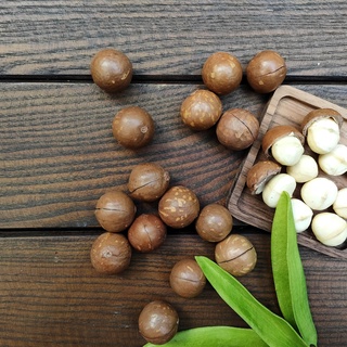 Hạt macca nứt vỏ Hatis Nuts - Macca organic 500g
