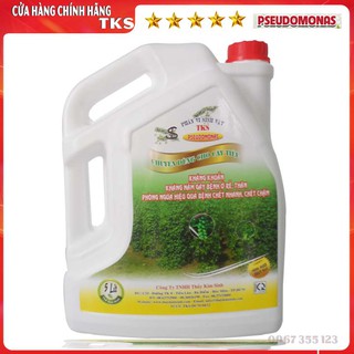 TKS - PSEUDOMONAS: Phòng Trừ Bệnh Héo Xanh, Thối Cổ Rể, Xì Mủ - CAN 5 LÍT