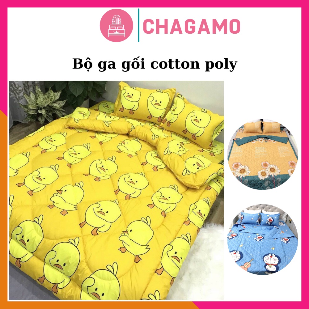 Ga gối poly bộ ga gối Cotton Hàn Quốc đáng yêu miễn phí bo chun drap ga giường