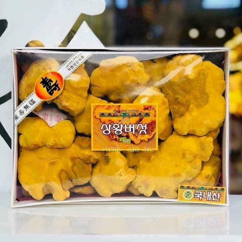 [HÀNG MỚI VỀ] Nấm Thượng Hoàng Hàn Quốc 500gr [HỘP QUÀ BIẾU SANG TRỌNG]