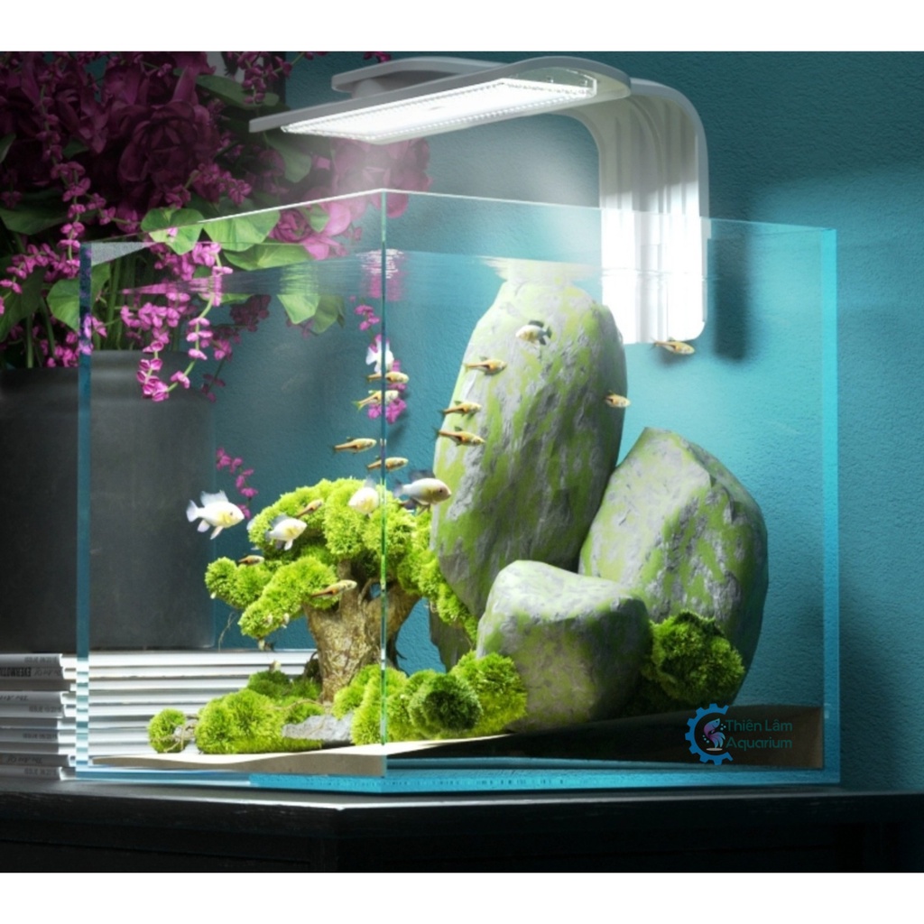 Đèn led hồ cá mini kẹp xoay 180 Jeneca D9 D11 D13 dùng cho bể cá mini siêu sáng công tắc bậc tắc dễ dàng
