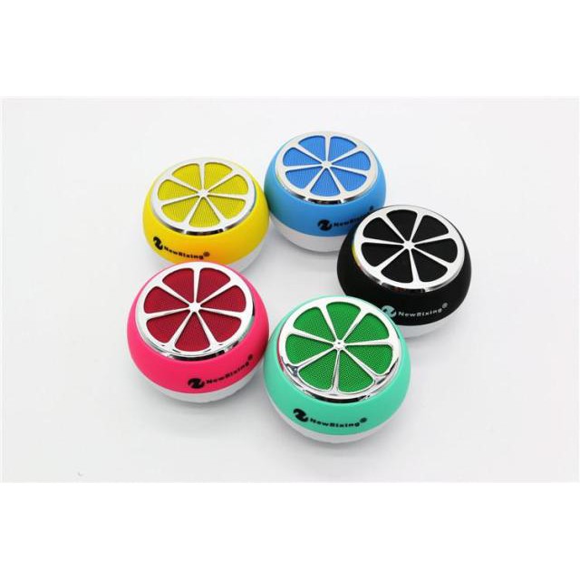 Loa Bluetooth mini New Rixing NR-1012
