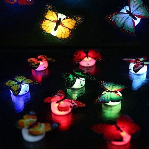 Đèn Led Con Bướm Dán Tường - Cực Đẹp