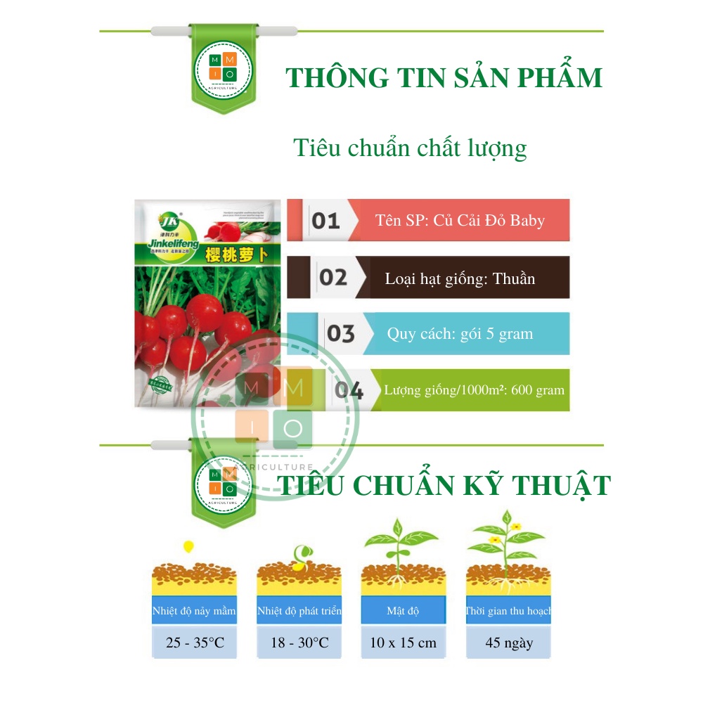 Hạt giống củ cải đỏ Baby chịu nhiệt