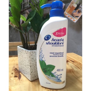 Dầu gội Head shoulders