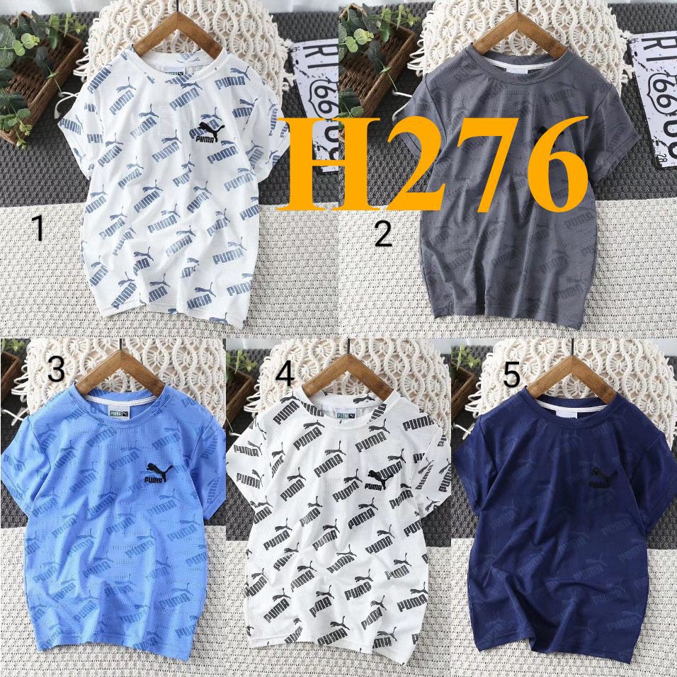 Mã H276: Áo phông BC 7869