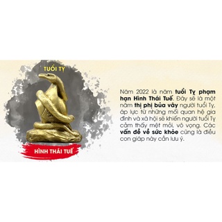 Bộ Thái Tuế Cải Vận Nhâm Dần 2022