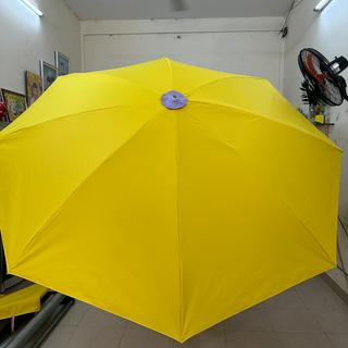 DÙ CHE YẾN PHƯƠNG