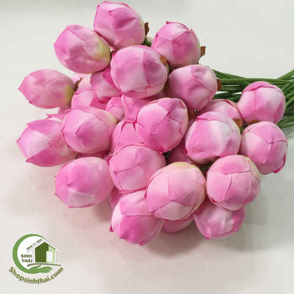 Cành hoa sen giả - cành sen vải lụa cao cấp