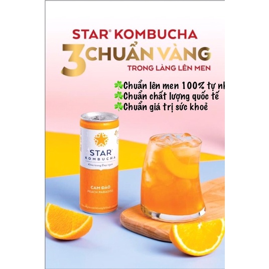 Thùng 12 lon trà STAR KOMBUCHA mix vị 250ml/lon - trà lên men tự nhiên tốt cho sức khoẻ