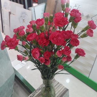 5 bình hoa thủy tinh