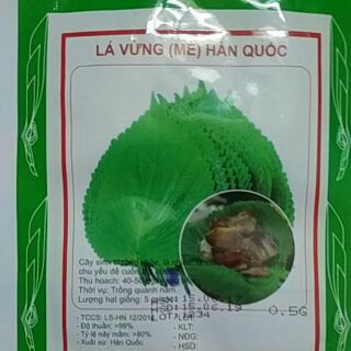 Hạt giống lá vừng Hàn Quốc