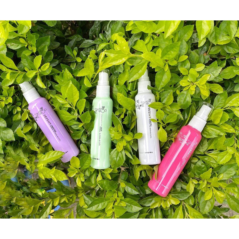 Nước Hoa Freshy cho chó mèo