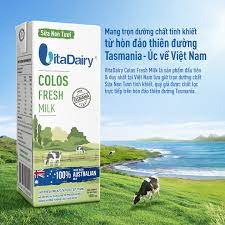 thùng 24 hộp sữa non tươi vitadairy colos fresh milk 180ml