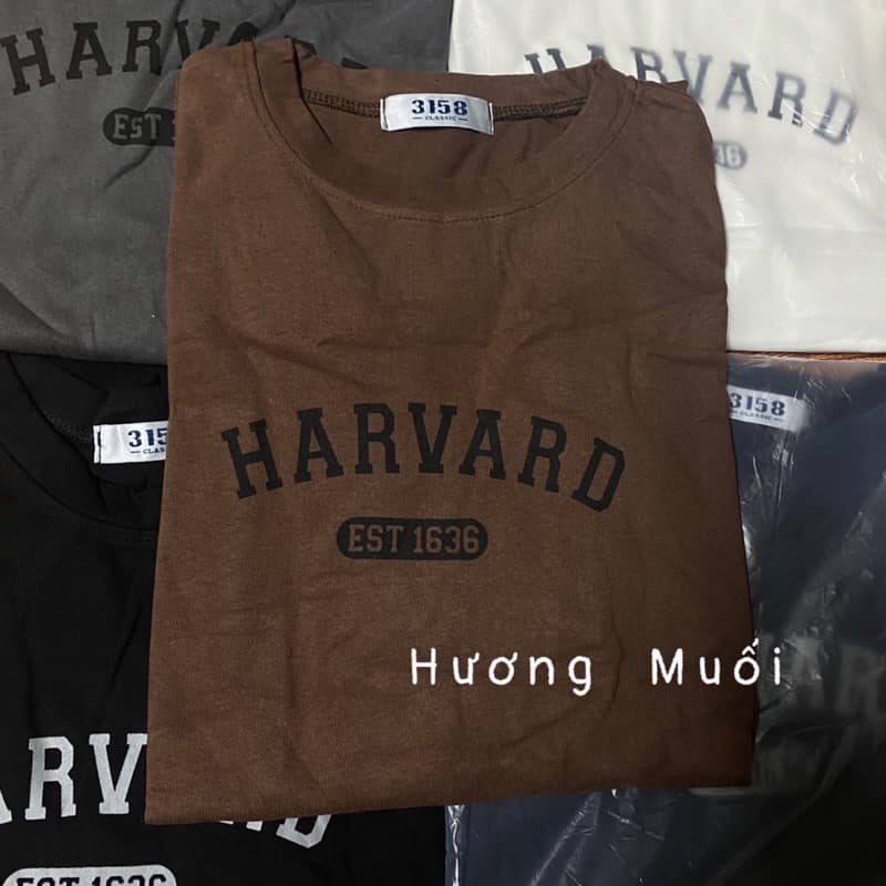 ÁO Thun HARVARD 3158 Chất Cotton Tuyết Nhung Samsam4896