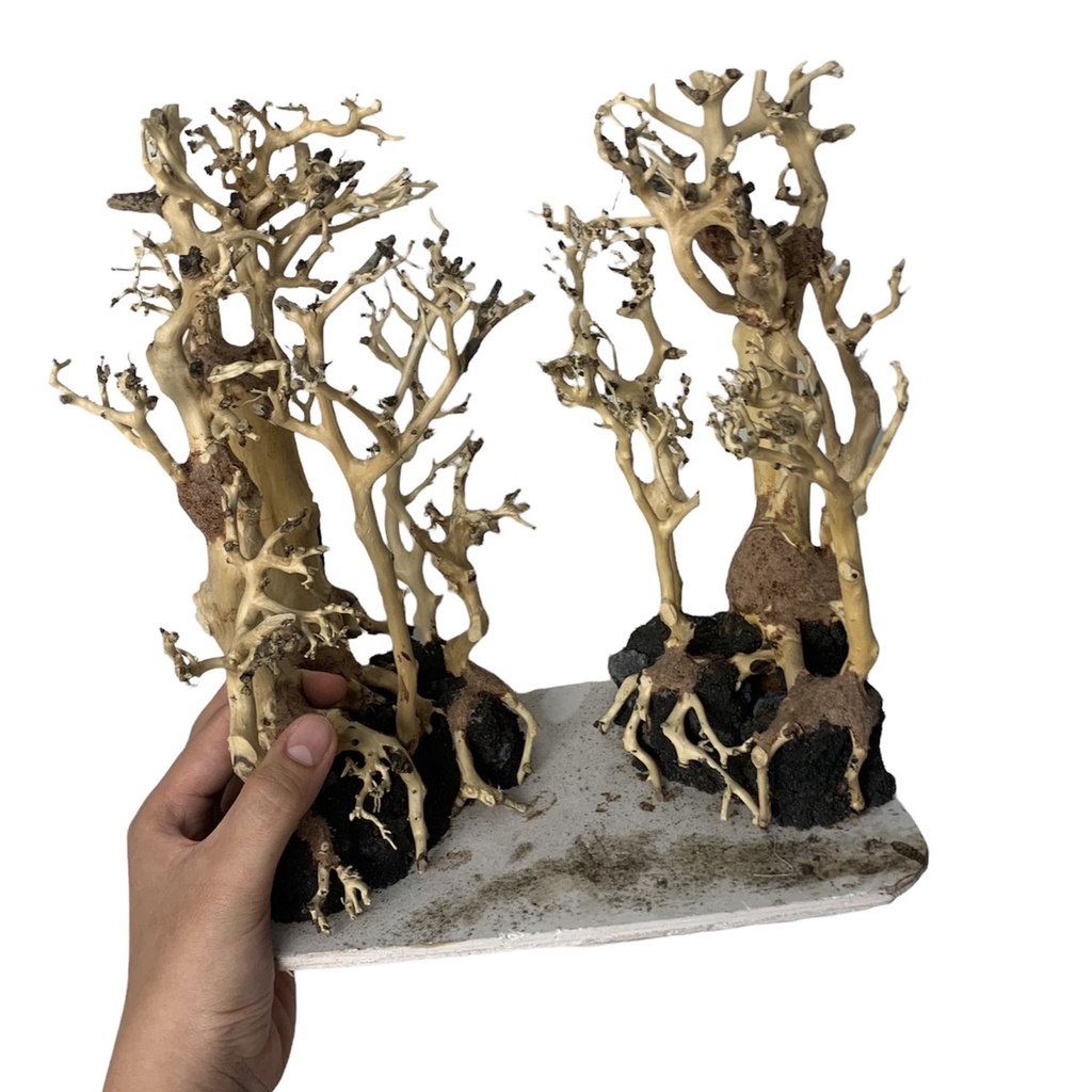[NHẬN QUÀ KHI MUA ĐƠN 39K] Cây Bonsai Thuỷ Sinh Đã Tạo Dáng Và Ghép Đá - Bonsai Trang Trí Hồ Cá, Bể Cá