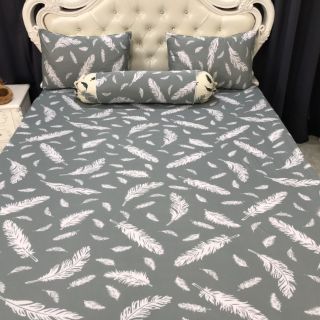 Bộ drap thun thái lan phối màu ( 7 màu)