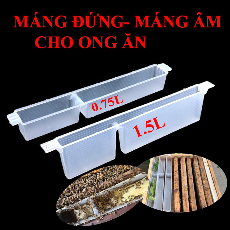 Máng Đứng, Máng Âm Cho Ong Ngoại Ăn Dung Tích 0.75L, 1,5L