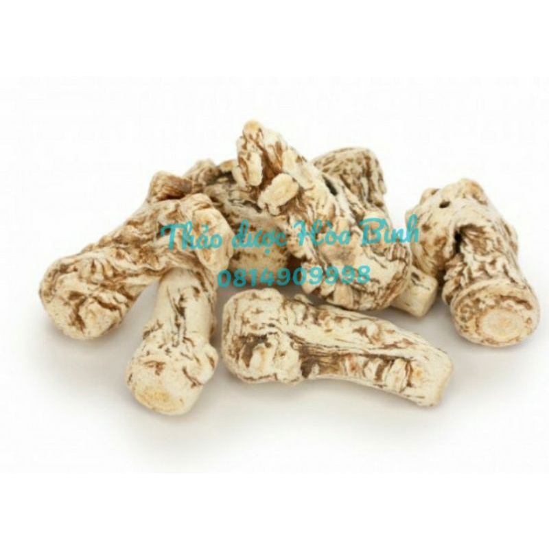 Quy Đầu, Đương Quy Thân, Độc Quy - Chất lượng đảm bảo chuẩn loại 1