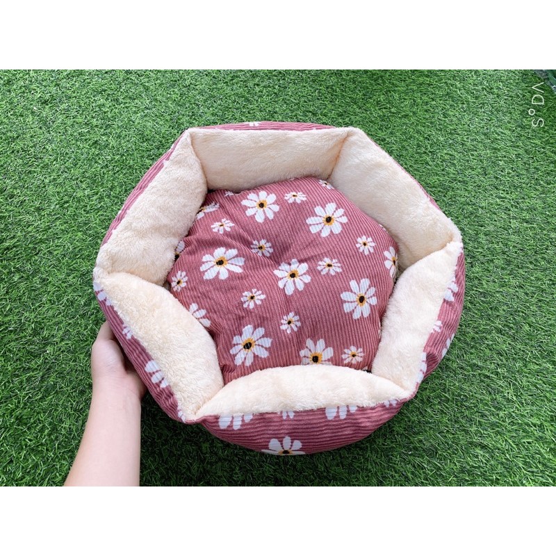 Nệm ngủ hoa cúc cho thú cưng
