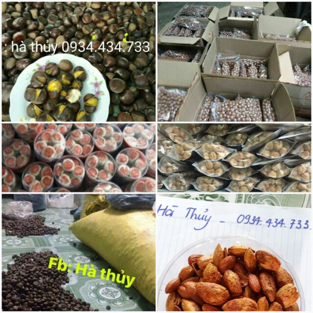 2KG hạt dẻ sống/dẻ tươi ngon cơm vàng bở hạt to